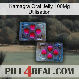 Kamagra Oral Jelly 100Mg Use 15